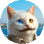 vankedisi icon